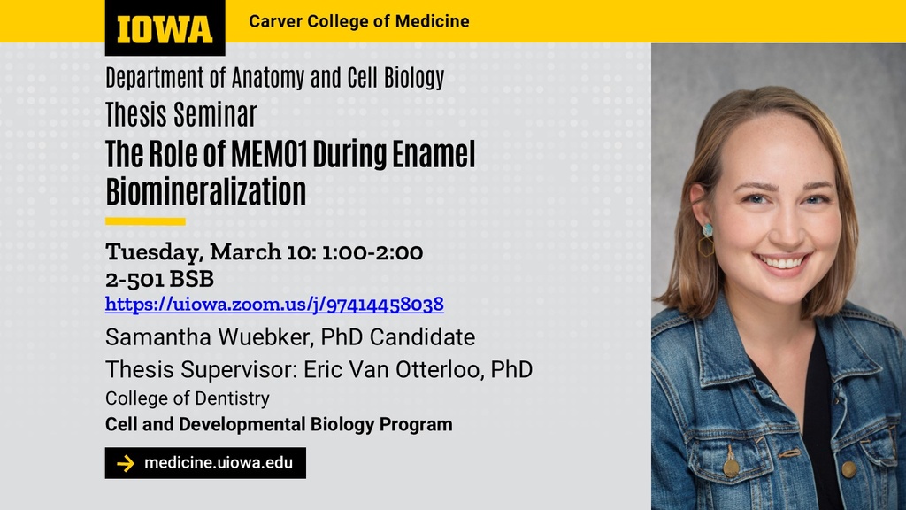 Samantha Wuebker Thesis Defense  promotional image